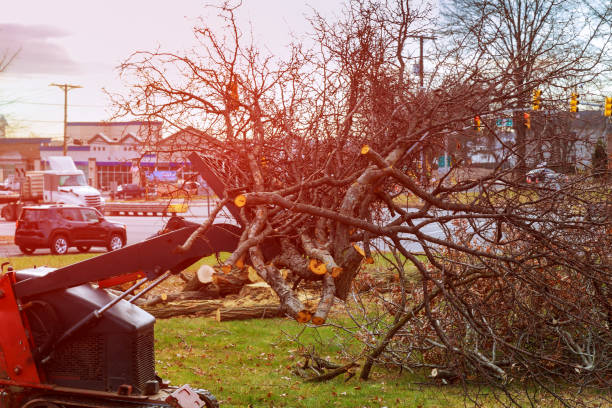 Leaf Removal in Newfield, NJ